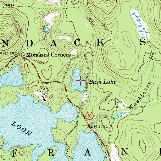 Topographic Map of Bass Lake, NY