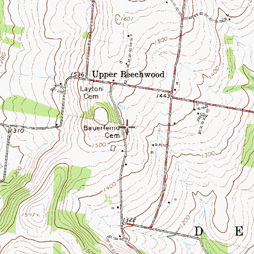 Topographic Map of Bauernfeind Cemetery, NY
