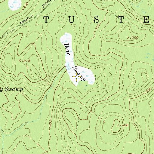 Topographic Map of Bear Swamp, NY
