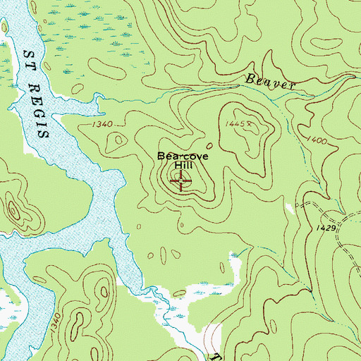 Topographic Map of Bearcove Hill, NY
