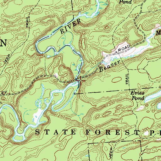 Topographic Map of Beaver Meadow Creek, NY
