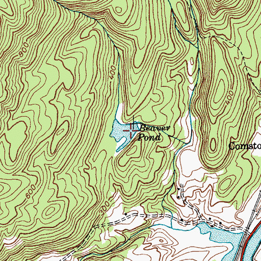 Topographic Map of Beaver Pond, NY