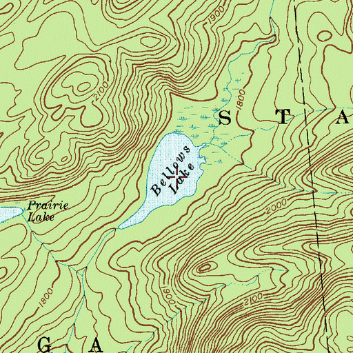 Topographic Map of Bellows Lake, NY
