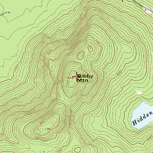Topographic Map of Bibby Mountain, NY