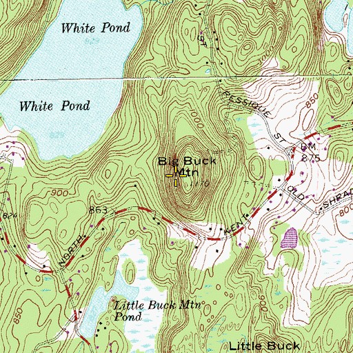 Topographic Map of Big Buck Mountain, NY