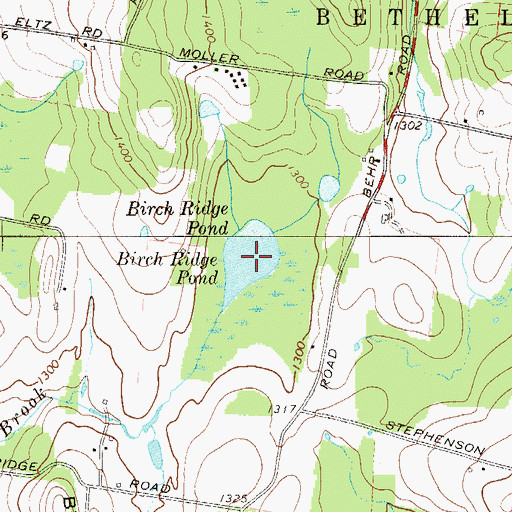 Topographic Map of Birch Ridge Pond, NY