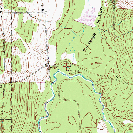 Topographic Map of Birdseye Hollow, NY