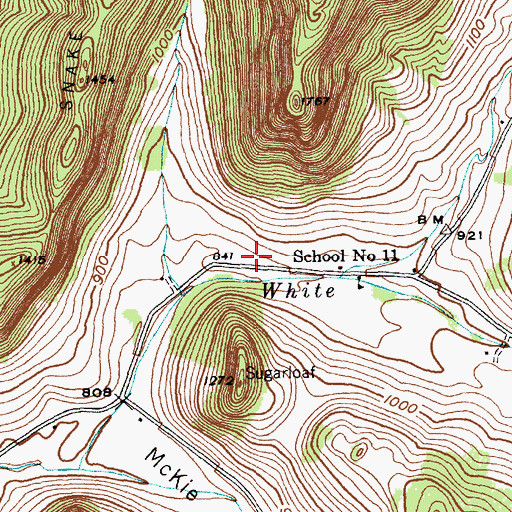 Topographic Map of Black Hole Hollow, NY