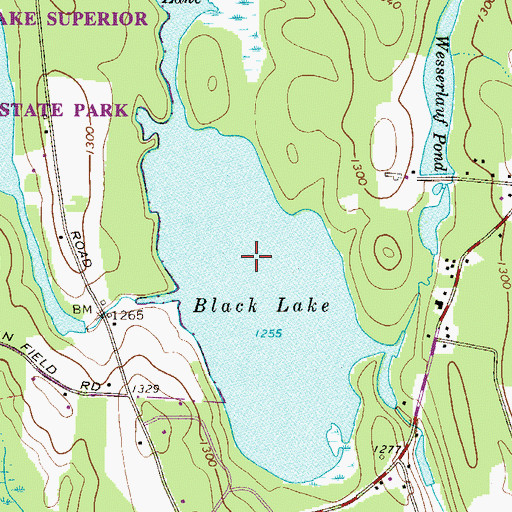 Topographic Map of Black Lake, NY