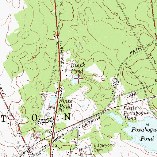 Topographic Map of Black Pond, NY