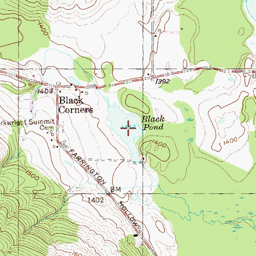 Topographic Map of Black Pond, NY