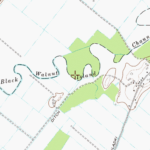 Topographic Map of Black Walnut Island Channel, NY