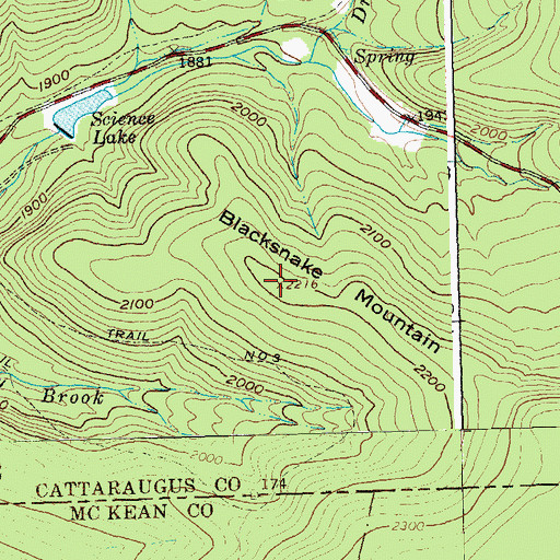 Topographic Map of Blacksnake Mountain, NY