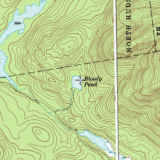 Topographic Map of Bloody Pond, NY