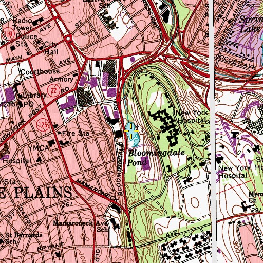 Topographic Map of Bloomingdale Pond, NY