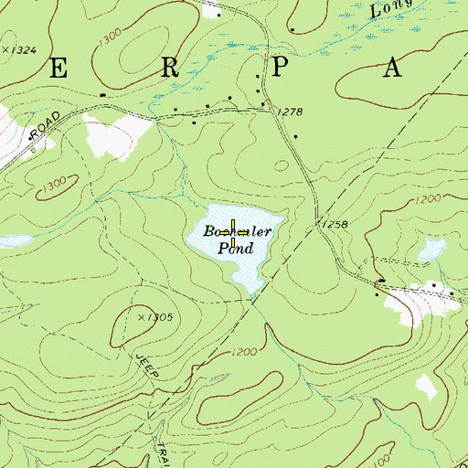 Topographic Map of Boehmler Pond, NY