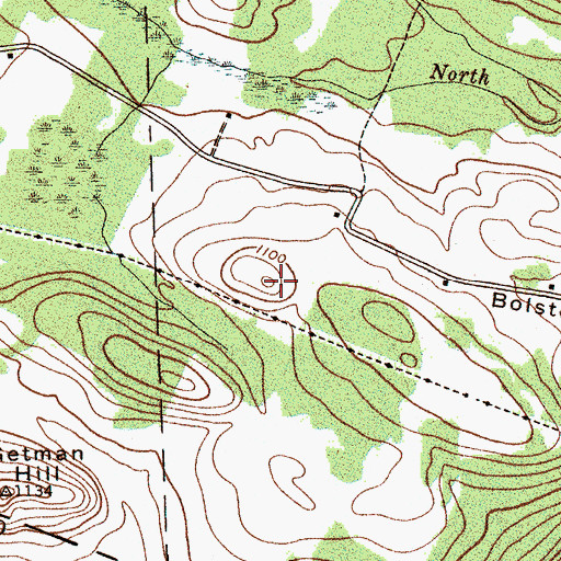 Topographic Map of Bolster Hill, NY
