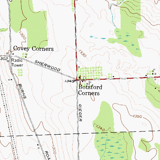 Topographic Map of Botsford Corners, NY