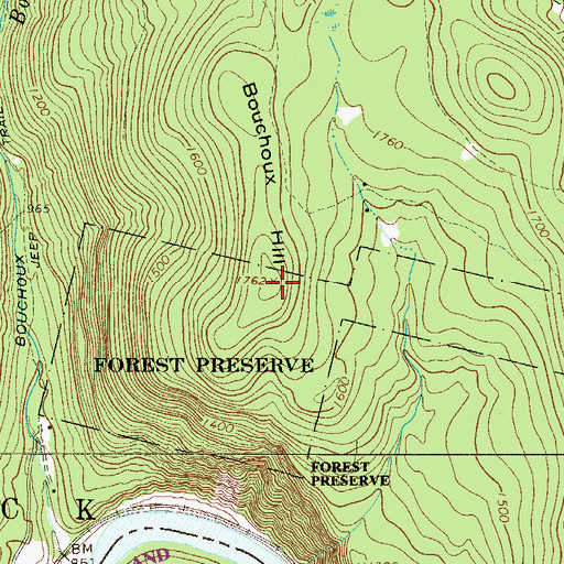 Topographic Map of Bouchoux Hill, NY