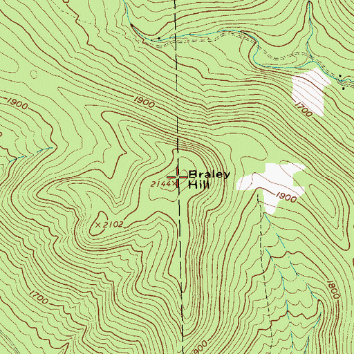 Topographic Map of Braley Hill, NY