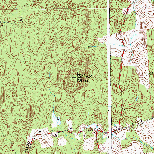 Topographic Map of Briggs Mountain, NY