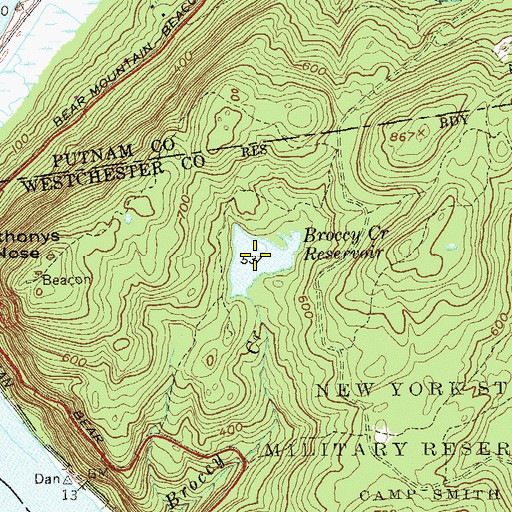 Topographic Map of Broccy Creek Reservoir, NY