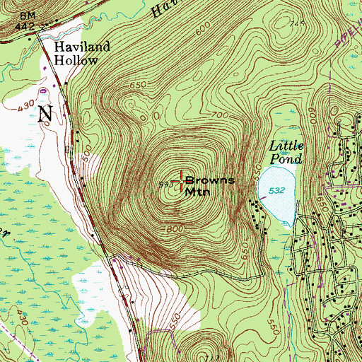 Topographic Map of Browns Mountain, NY