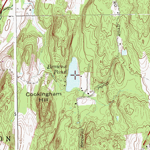 Topographic Map of Browns Pond, NY