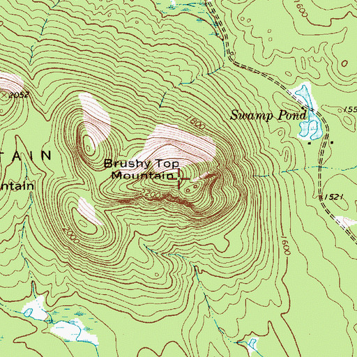 Topographic Map of Brushy Top Mountain, NY