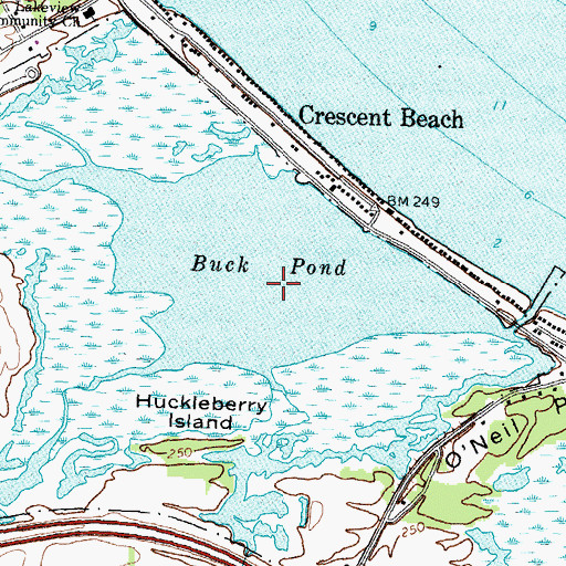 Topographic Map of Buck Pond, NY