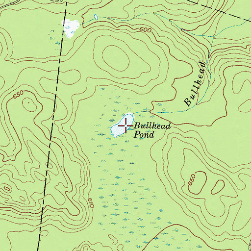 Topographic Map of Bullhead Pond, NY