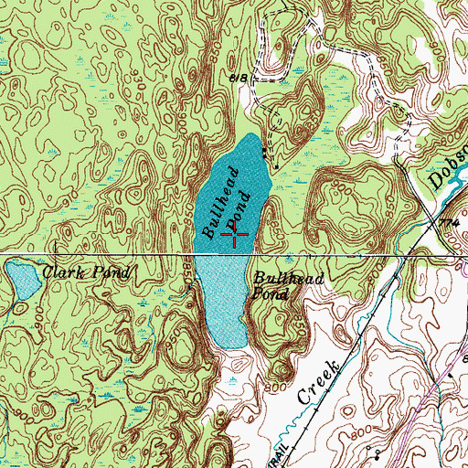 Topographic Map of Bullhead Pond, NY
