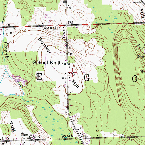Topographic Map of Bunker Hill, NY