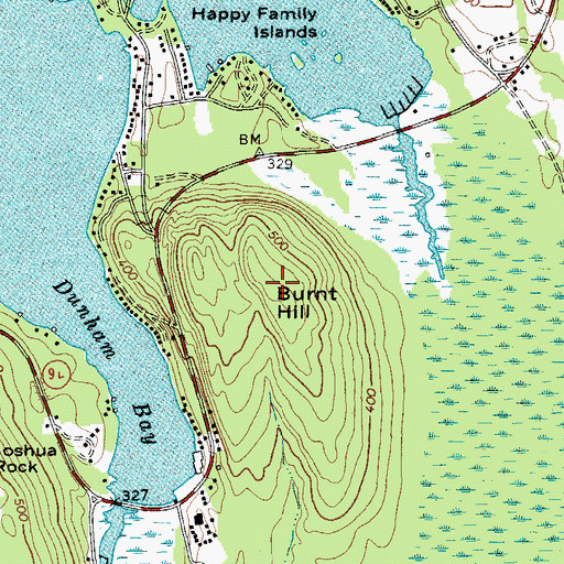 Topographic Map of Burnt Hill, NY
