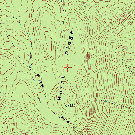 Topographic Map of Burnt Ridge, NY