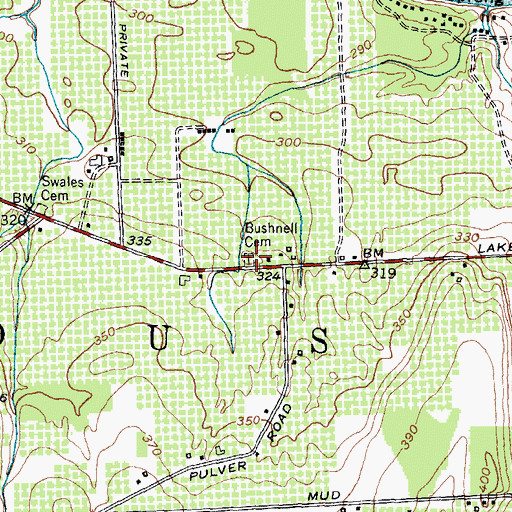 Topographic Map of Bushnell Cemetery, NY
