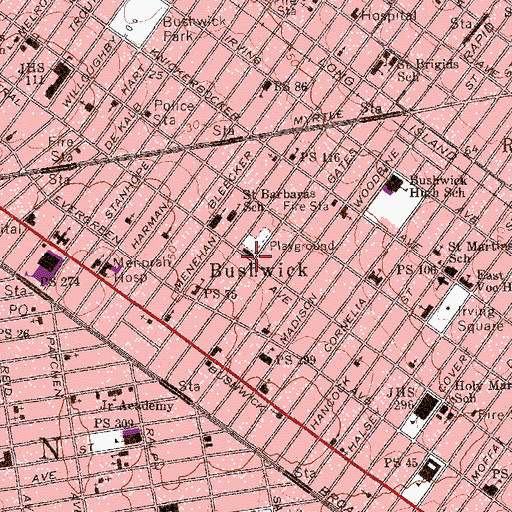 Topographic Map of Bushwick, NY
