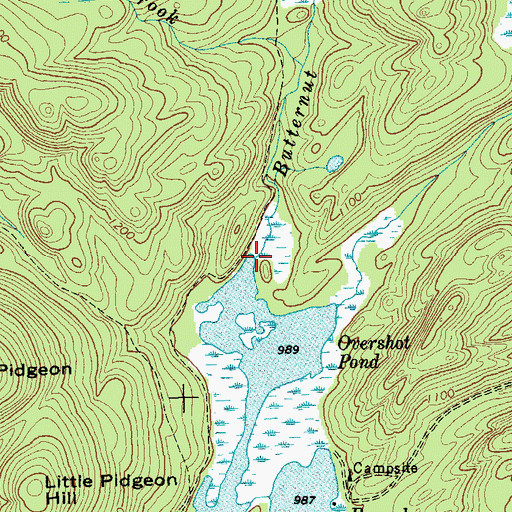 Topographic Map of Butternut Brook, NY