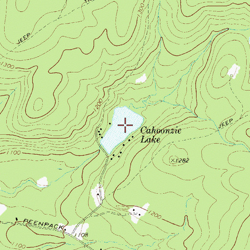 Topographic Map of Cahoonzie Lake, NY