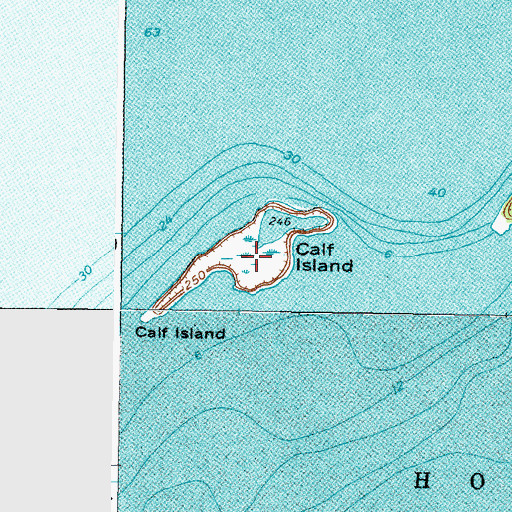Topographic Map of Calf Island, NY