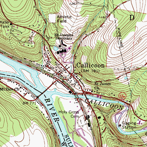 Topographic Map of Callicoon, NY