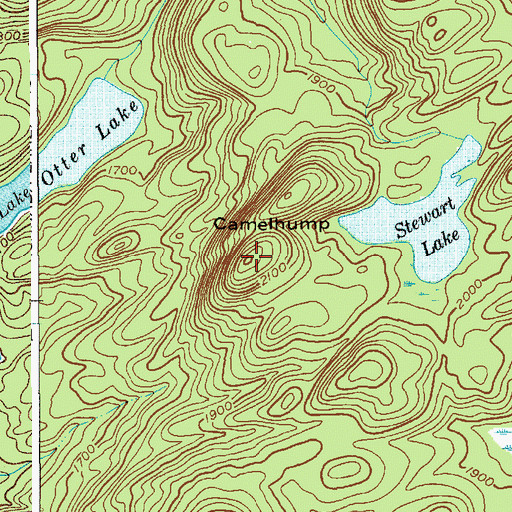 Topographic Map of Camelhump, NY