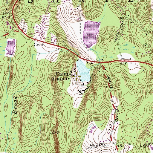 Topographic Map of Camp Alamar, NY