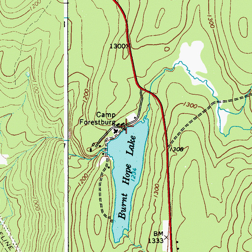 Topographic Map of Camp Forestburg, NY