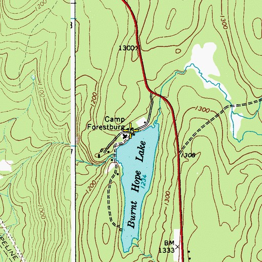 Topographic Map of Camp Forestburg, NY