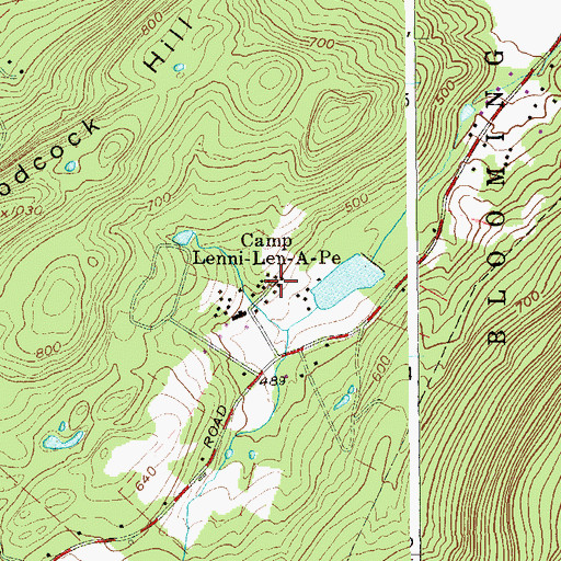 Topographic Map of Camp Lenni-Len-A-Pe, NY