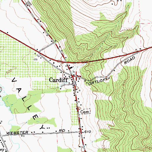 Topographic Map of Cardiff, NY