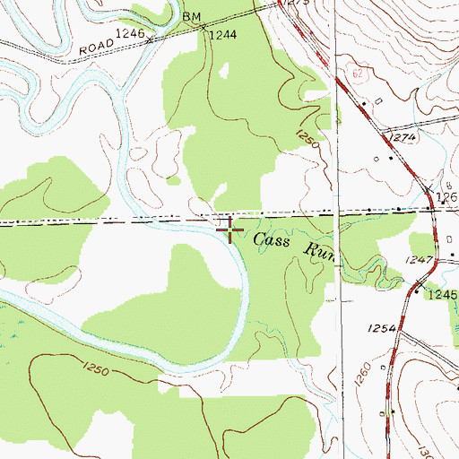 Topographic Map of Cass Run, NY