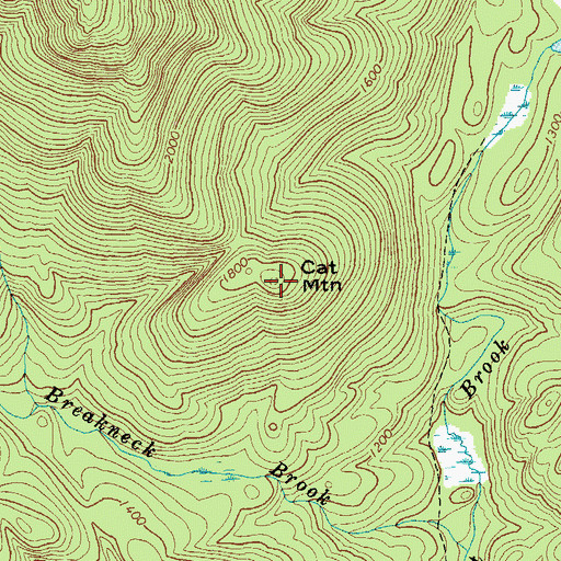 Topographic Map of Cat Mountain, NY