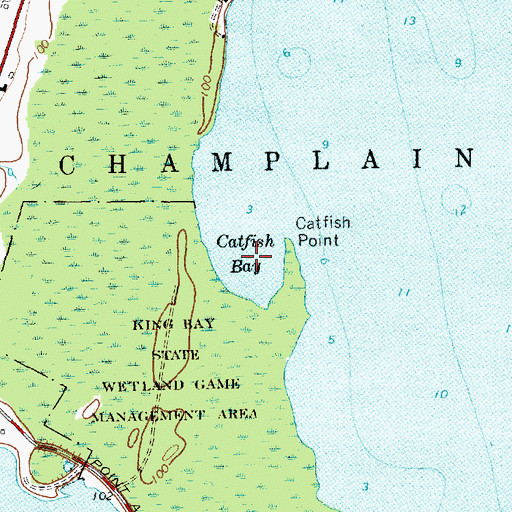 Topographic Map of Catfish Bay, NY